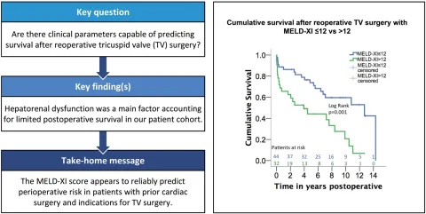 DOI: 10.1093/ejcts/ezab134