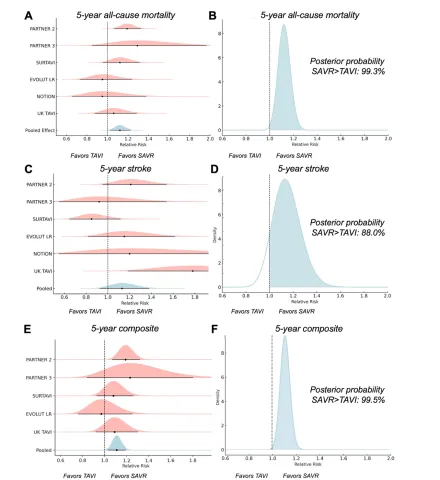 DOI: 10.1136/heartjnl-2025-327092